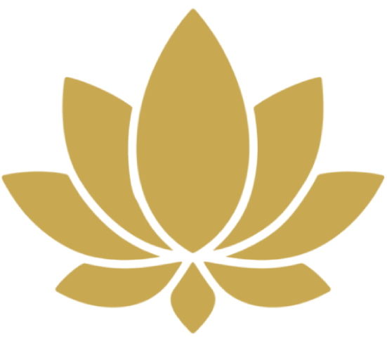 Buddha Lotus
